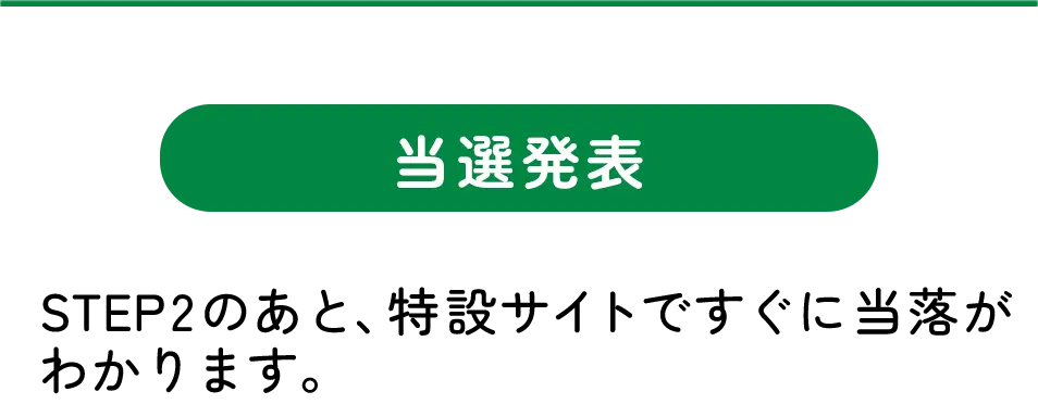 当選発表 STEP2のあと、特設サイトですぐに当落がわかります。