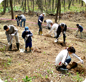 植樹のために地面を掘り起こしています。