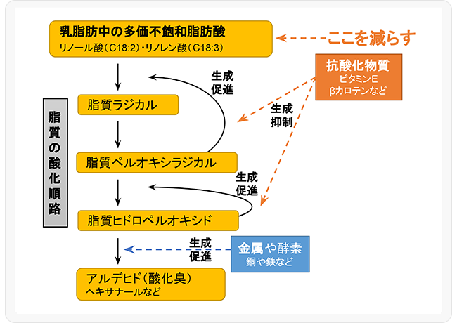 図3．自発性酸化臭の発生経路