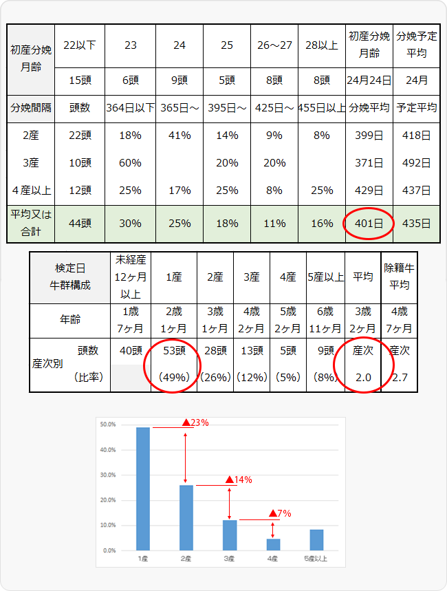 図3 A農家（課題あり）における分娩間隔と産次別頭数比率