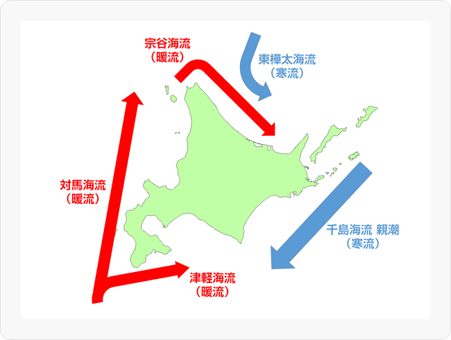 図2 北海道の海流