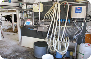 生乳処理室も整理整頓されており、ミルカーの消耗品なども定期的に交換している