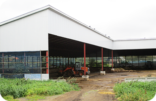 堆肥舎は、フリーストール牛舎と育成舎の間に設置されている