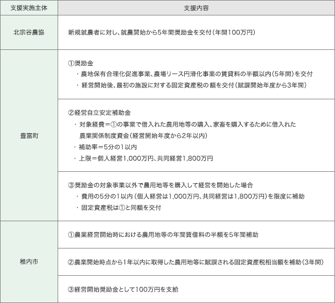 表2　北宗谷農協・豊富町・稚内市の主な支援内容