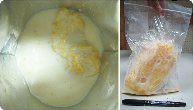 写真 約7割解凍時の初乳に残っている氷の様子（左）と取り除いた氷（右）