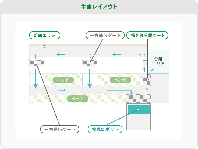 牛舎レイアウト