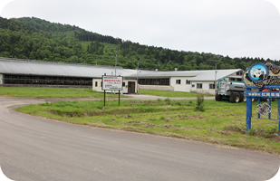 有限会社松岡牧場の全景