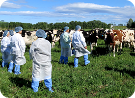 NON-GMO生乳生産者とよつ葉共同購入グループとの産地交流会