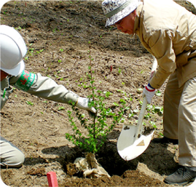 2008年の洞爺湖サミットで各国の首脳が記念植樹した木