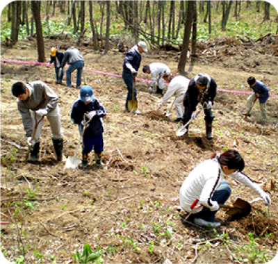 植樹のために地面を掘り起こし